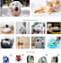 build a shopify pet store and website