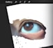 digital illustration, logo making and digital design