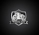 create a winning logo in 1 day