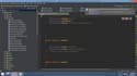 teach you to code and debug