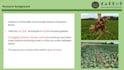 design biology powerpoint presentations