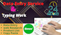 do data entry, copy paste and excel data entry work for you