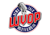 design super nice wonderful radio logo with source file