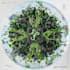 design  3d artwork or animated cover for album and single