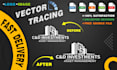 professionally vector trace or redraw your logo or image