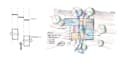do hand drawn architectural sketches and concept drawings