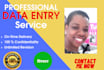 do professional data entry in 24 hours