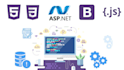 develop an e commerce website using asp dot net mvc