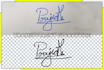 make electronic digital vector signature from handwritten