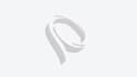 create modern 3d and 2d logo animation