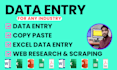 do accurate data entry, web scraping, and lead generation