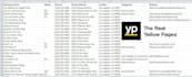 scrape yellow pages business data email name contacts etc