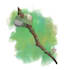 draw weapons, armors and props for your dnd games