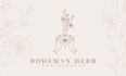 design feminine, hand drawn, botanical, boho logo that will stand out