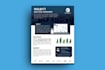 design one pager executive summary, investment teaser or business summary