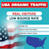 drive adsense safe genuine web traffic with low bounce rate