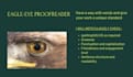meticulously proofread and edit english documents