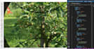 do image annotation with point