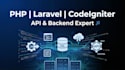 your professional php laravel api, codeigniter backend developer