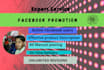 do excel data entry and facebook promotion in uas