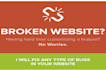 bug fixing of your web project in HTML5 css3 javascript and PHP