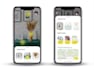 develop IOS and android applications