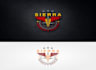 design a custom medical and pharmaceutical logo