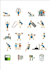create logo and icon set design