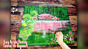 create acrylic painting tutorial video for youtube facebook instagram
