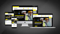 develop responsive wordpress  website or ecommerce store