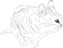 make digital illustrations, animals, plants, humans