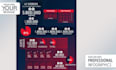design a professional premium infographic