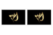 redraw your pixelate logo or image in high resolution