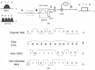 do communication system  and computer networking