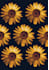 design seamless texture textile,fashion pattern design