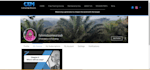 design and redesign wix website for your business