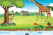 draw kids book illustration for amazon kdp