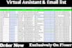 do your virtual assistant to lead generation, email list building and data entry