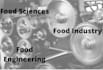 make food engineering reports and assignments
