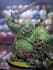 paint your warhammer and board game miniatures