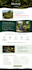 design a professional wordpress website with elementor