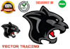 do vector tracing, logo cleanup, recreate professionally