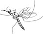 draw a shitty png image