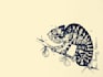 draw black and white  illustrations for children books