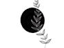 create botanical illustrations for all your design needs