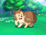 draw your pets into cute cartoons
