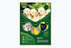 create a poster design