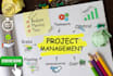 help in project management, accounting and finance and business plan