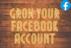 be a personal facebook account manager