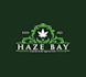 design haze bay packaging logo in 3 day